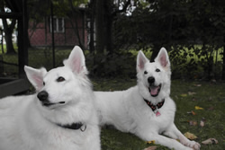 Belmondo & Mama Keona